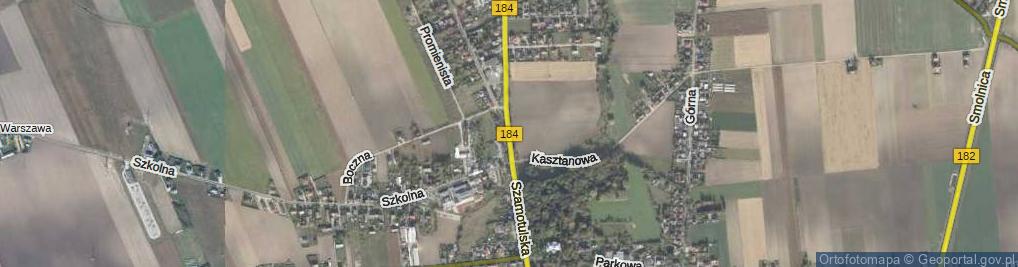 Zdjęcie satelitarne Nowowiejska ul.